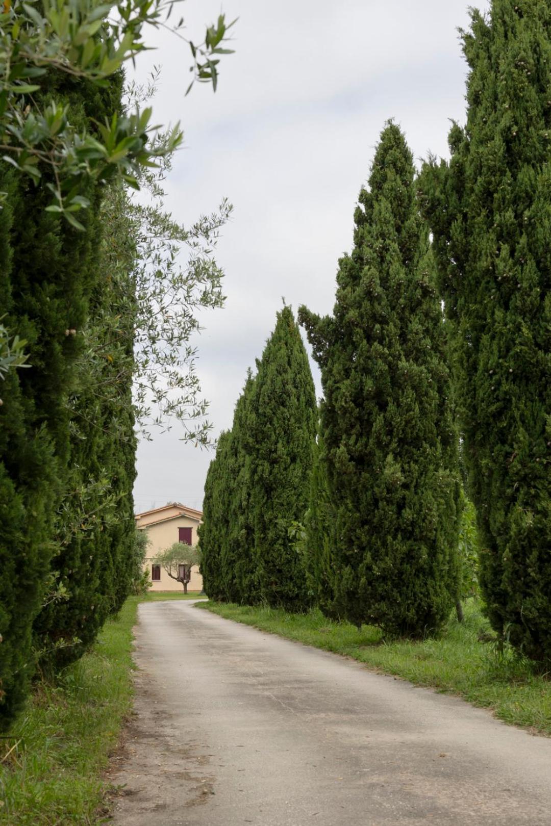 Fattoria Il Giardo Apartment Pietrasanta Exterior photo